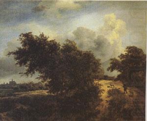 The Bush (mk05), Jacob van Ruisdael